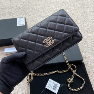 CO-CO Chanel Wallet On Chain 20cm