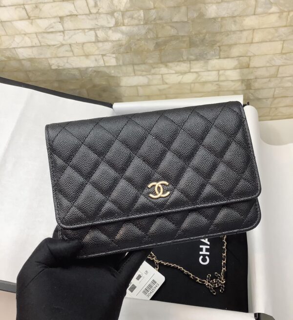 CO-CO Chanel Wallet On Chain 19cm