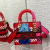 Christian Dior Medium Lady Dior Bag 24cm