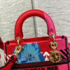 Christian Dior Medium Lady Dior Bag 24cm - Image 7