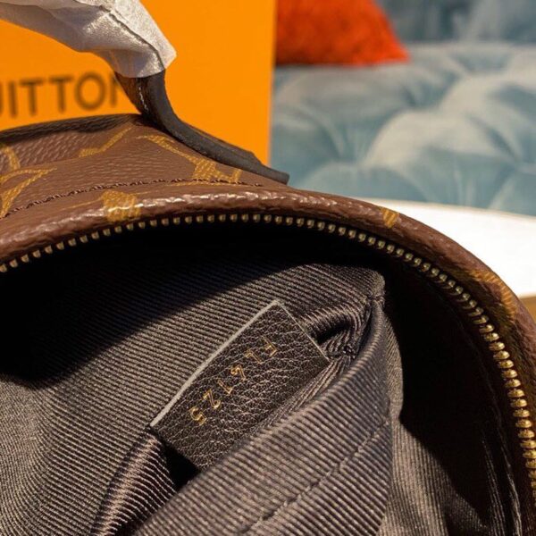 Louis Vuitton Palm Springs Mini Backpack Bag 22cm Monogram Canvas Spring/Summer Collection M41562, Brown - Image 10