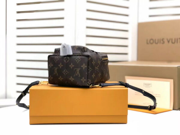 Louis Vuitton Palm Springs Mini Backpack 22cm Monogram Canvas Spring/Summer Collection M41562, Brown - Image 2
