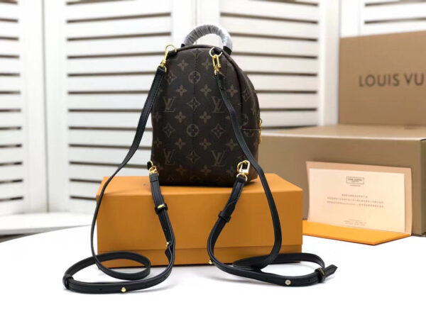 Louis Vuitton Palm Springs Mini Backpack 22cm Monogram Canvas Spring/Summer Collection M41562, Brown - Image 3