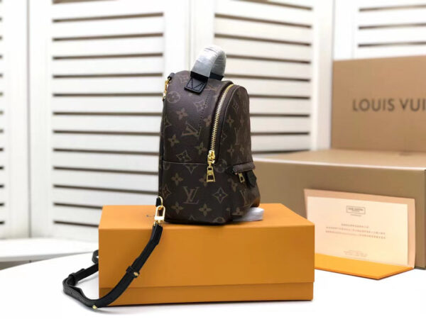 Louis Vuitton Palm Springs Mini Backpack 22cm Monogram Canvas Spring/Summer Collection M41562, Brown - Image 4