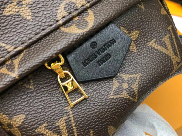 Louis Vuitton Palm Springs Mini Backpack 22cm Monogram Canvas Spring/Summer Collection M41562, Brown - Image 5