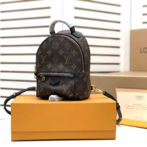 Louis Vuitton Palm Springs Mini Backpack 22cm Monogram Canvas Spring/Summer Collection M41562, Brown