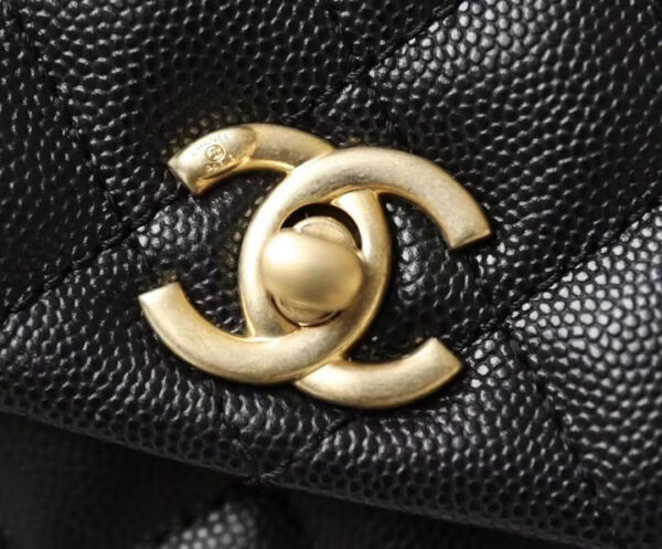 Chanel Coco Handle Quilted Lizard Handle Bag Caviar Leather Gold Hardware Spring/Summer Act 1 Collection 24cm Black - Image 3